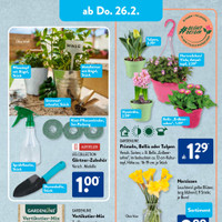 ALDI SÜD Prospekt - Blumen