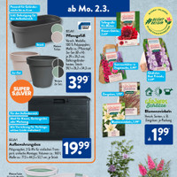ALDI SÜD Prospekt Seite 3