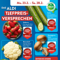 ALDI SÜD Prospekt Seite 4