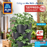 ALDI SÜD Prospekt - Ostern