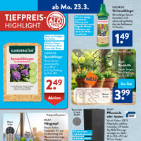 ALDI SÜD Prospekt - Blumen