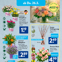 ALDI SÜD Prospekt Seite 29