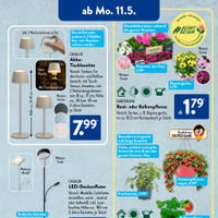 ALDI SÜD Prospekt - Blumen
