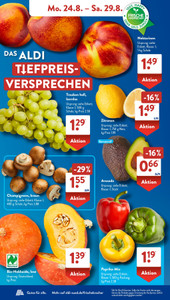 ALDI SÜD Prospekt - Angebote ab 24.08.