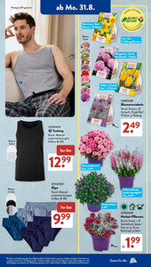 ALDI SÜD Prospekt - Angebote ab 31.08.
