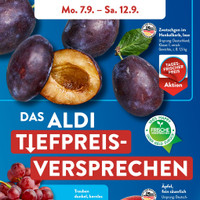 ALDI SÜD Prospekt Seite 3