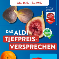ALDI SÜD Prospekt Seite 3