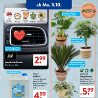 ALDI SÜD Prospekt - Schauriges zu Halloween Angebote