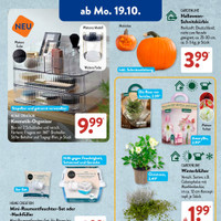 ALDI SÜD Prospekt Seite 2