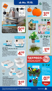 ALDI SÜD Prospekt - Angebote ab 19.10. - Seite 2