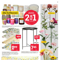 ROFU Prospekt - Blumen