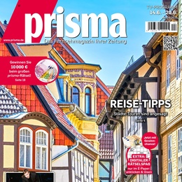 prisma Prospekt