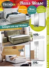 Wohnpark Binzen Prospekt - Hausmesse