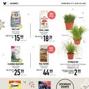 Kölle Zoo Prospekt Seite 2