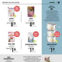 Kölle Zoo Prospekt Seite 3