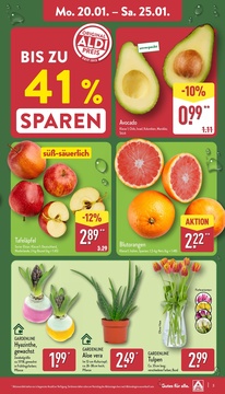 ALDI Nord Prospekt - Angebote ab 20.01.