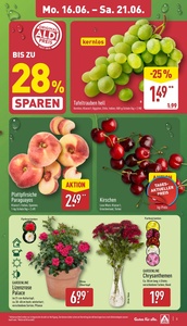 ALDI Nord Prospekt - Angebote ab 16.06.