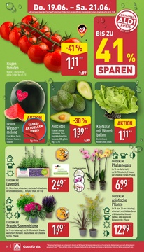 ALDI Nord Prospekt - Angebote ab 16.06.