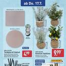 ALDI Nord Prospekt Seite 21