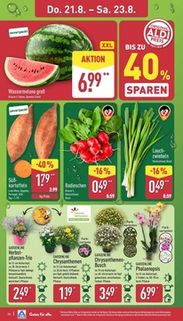 ALDI Nord Prospekt - Angebote ab 18.08.