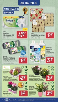 ALDI Nord Prospekt - Angebote ab 25.08.