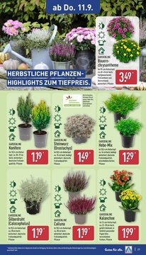 ALDI Nord Prospekt - Angebote ab 08.09.