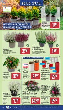 ALDI Nord Prospekt - Angebote ab 20.10.