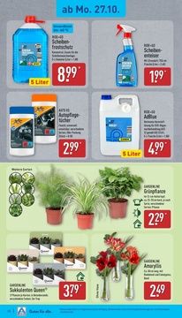 ALDI Nord Prospekt - Angebote ab 27.10.