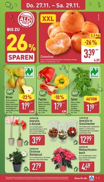 ALDI Nord Prospekt - Angebote ab 24.11.