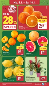 ALDI Nord Prospekt - Angebote ab 05.01.