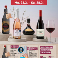 ALDI Nord Prospekt Seite 15