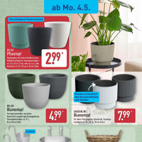 ALDI Nord Prospekt Seite 14