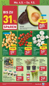 ALDI Nord Prospekt - Angebote ab 04.05.