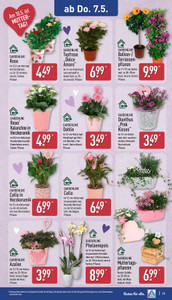 ALDI Nord Prospekt - Angebote ab 04.05.