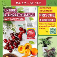 ALDI Nord Prospekt Seite 3