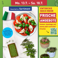 ALDI Nord Prospekt Seite 3