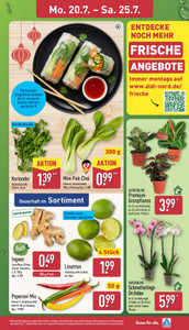 ALDI Nord Prospekt - Angebote ab 20.07.
