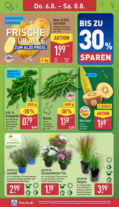 ALDI Nord Prospekt - Angebote ab 03.08.