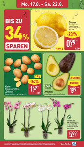 ALDI Nord Prospekt - Angebote ab 17.08.