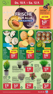 ALDI Nord Prospekt - Angebote ab 07.09.