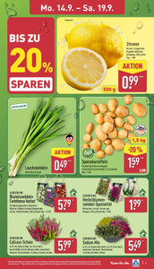 ALDI Nord Prospekt - Angebote ab 14.09.