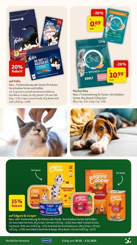 Vorschau des Fressnapf Prospekts - Aktionen, Rabatte & Gutscheine, Seite 8
