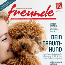 ZOO & Co. Prospekt - freunde-Magazin