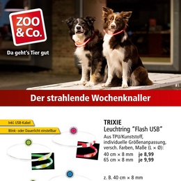 ZOO & Co. Prospekt - Wochenknaller