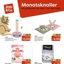ZOO & Co. Prospekt Seite 2