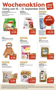 ZOO & Co. Prospekt - Angebote ab 15.09.