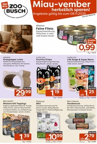 ZOO & Co. Prospekt - Miau-vember