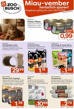 ZOO & Co. Prospekt - Miau-vember - Seite 1