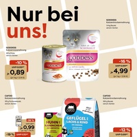 ZOO & Co. Prospekt Seite 2