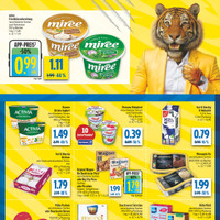 diska Prospekt Seite 2